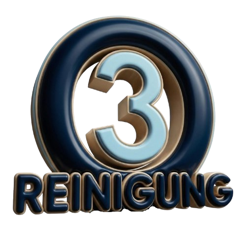 O3Reinigung Logo